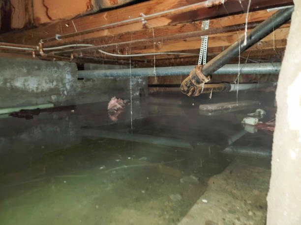 Professional Water damage restoration in Morrow, GA