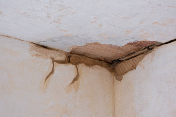 Best Water damage cleanup near me  in Morrow, GA