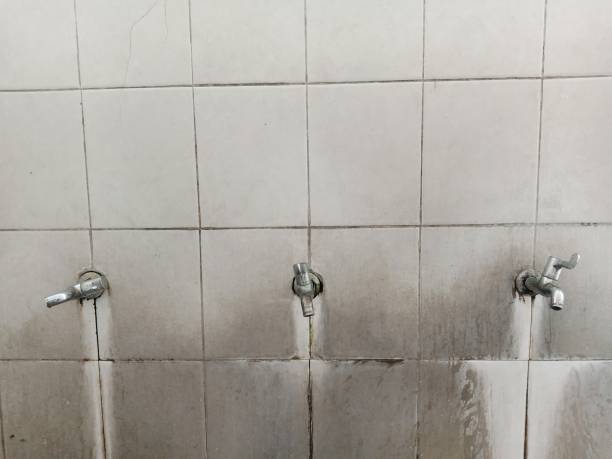 Best Ceiling water damage repair  in Morrow, GA